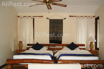 Coconut Paradise 41